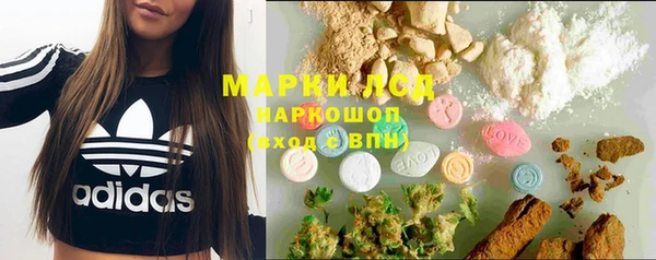 дживик Майский