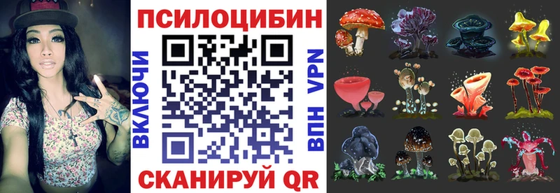 магазин наркотиков Цивильск Галлюциногенные грибы Cubensis