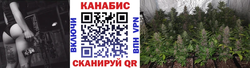 где купить наркоту  Цивильск  ОМГ ОМГ рабочий сайт  Каннабис тримм 